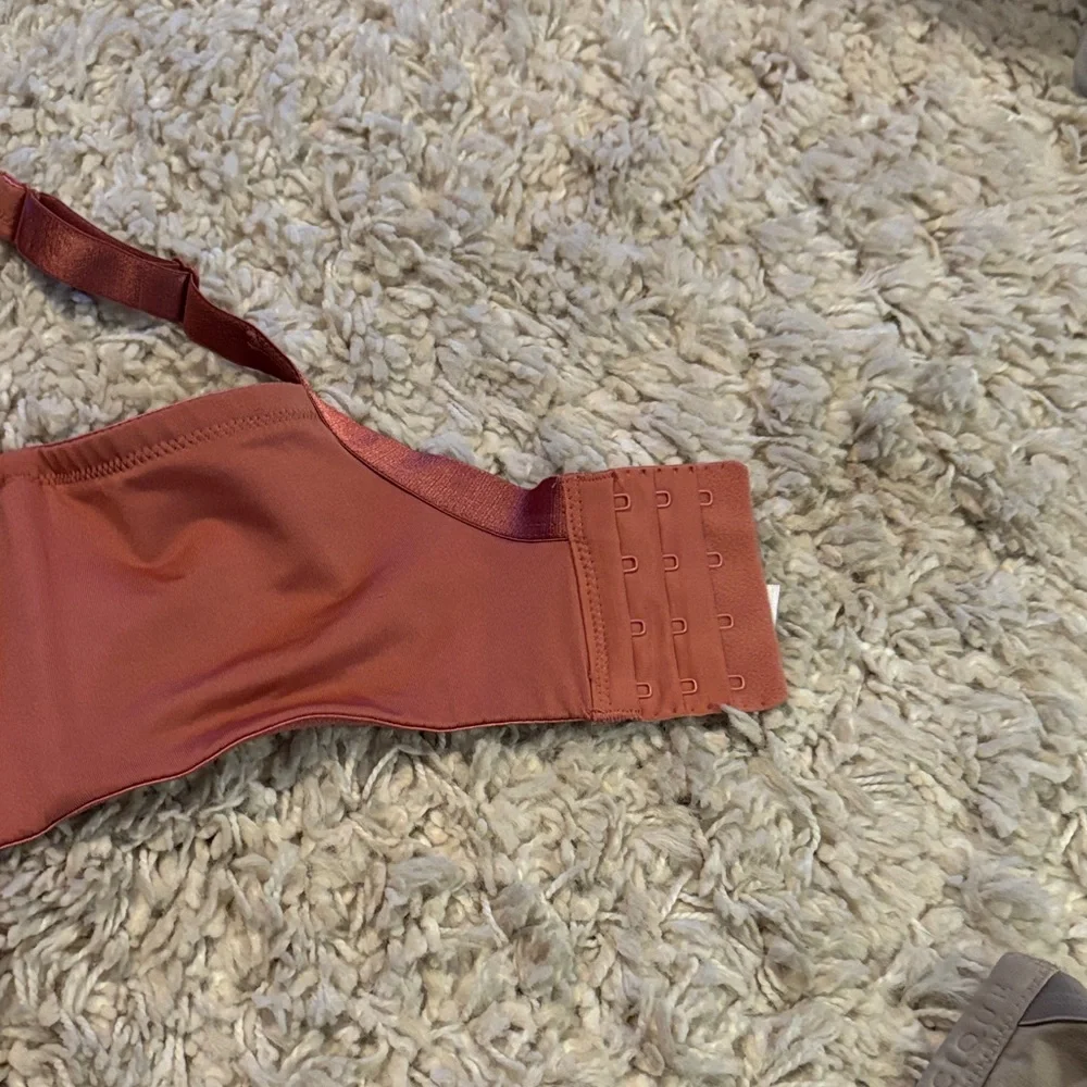 Cacique Rust and White Lace Bra